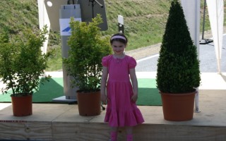 Galeriebild
