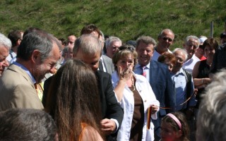 Galeriebild