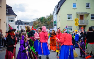 Galeriebild