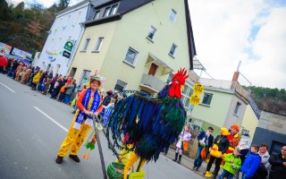 Galeriebild
