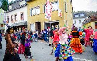 Galeriebild