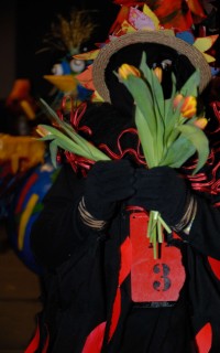 Galeriebild