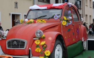 Galeriebild