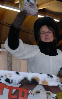 Galeriebild