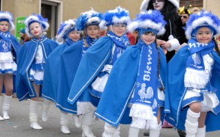 Galeriebild