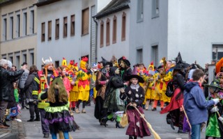 Galeriebild