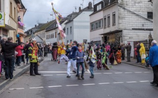 Galeriebild