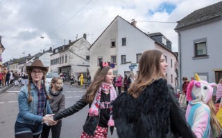 Galeriebild