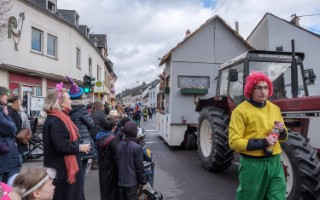 Galeriebild