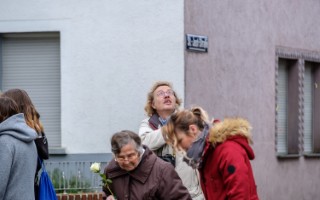 Galeriebild