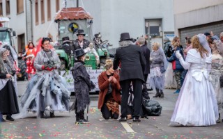 Galeriebild