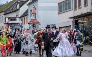Galeriebild