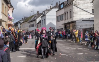 Galeriebild