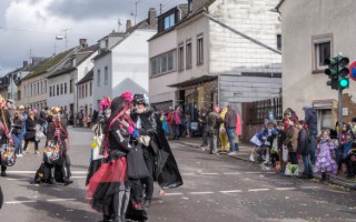 Galeriebild