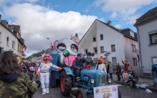Galeriebild