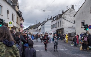 Galeriebild
