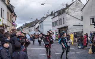 Galeriebild