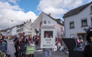 Galeriebild