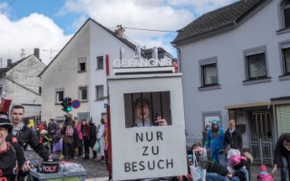 Galeriebild