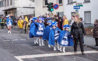 Galeriebild