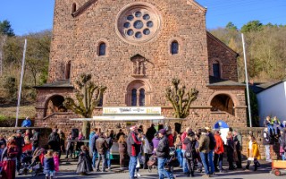 Galeriebild