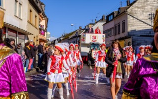 Galeriebild