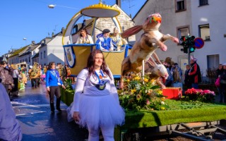 Galeriebild