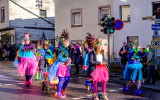 Galeriebild