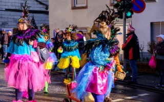 Galeriebild