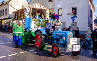 Galeriebild