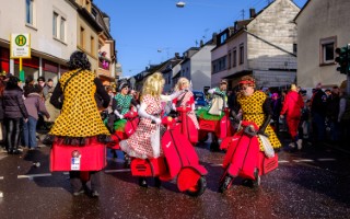 Galeriebild