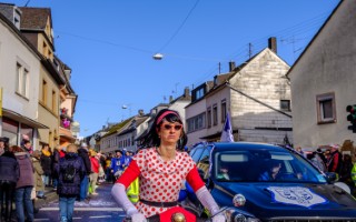 Galeriebild