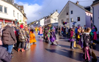 Galeriebild