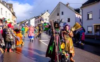 Galeriebild