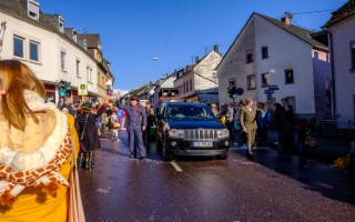 Galeriebild