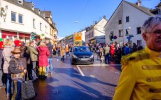 Galeriebild